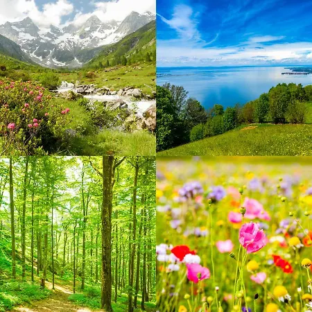 Hotell Fritsch Am Berg - Adults Only