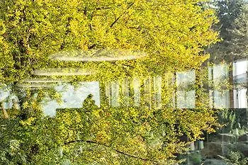 Fritsch Am Berg - Adults Only Hotel Lochau